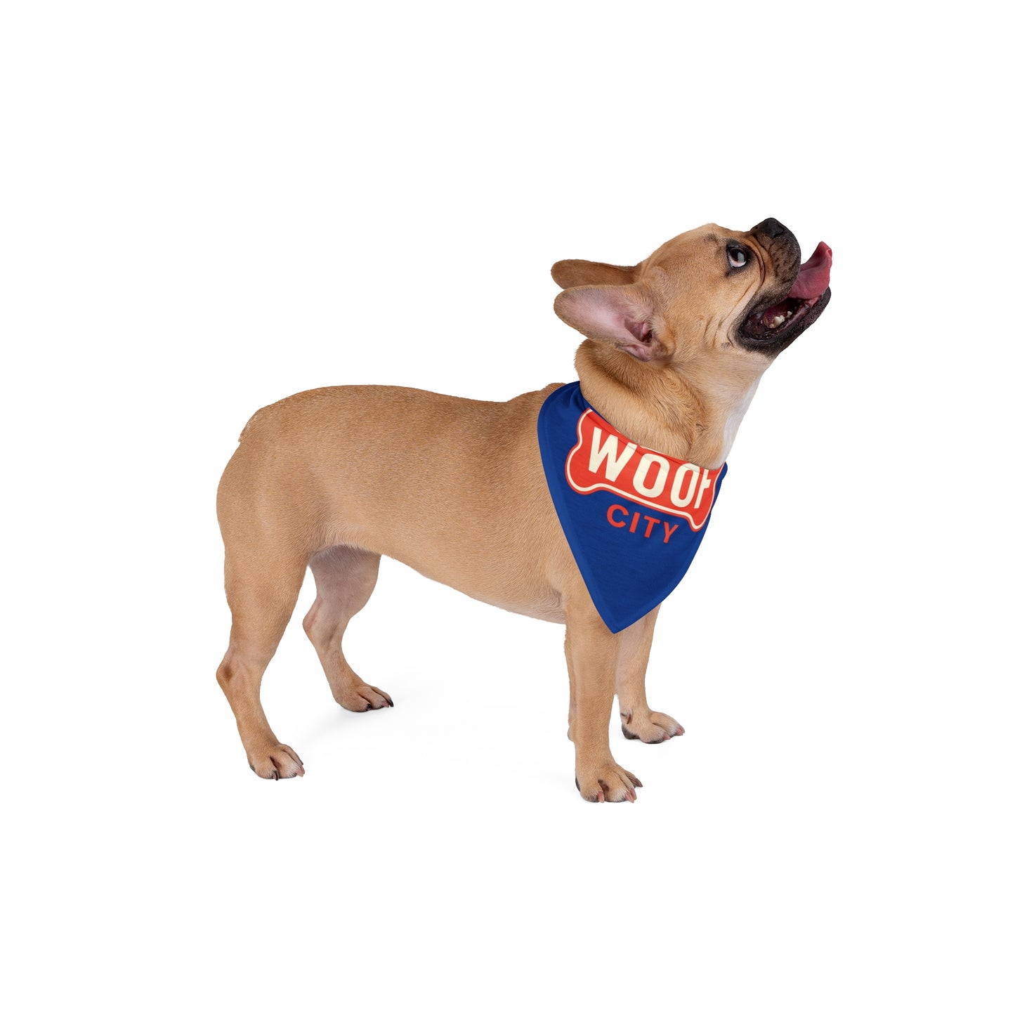 Welcome to Woof City – Population: Your Pup!